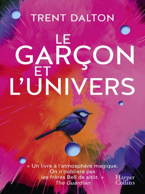 cover image of Le garçon et l'univers